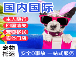 长白山机场快运国际宠物托运 【国
